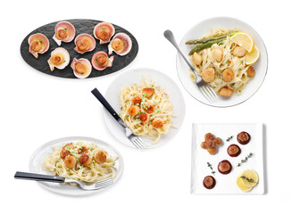 Set of different dishes with scallops isolated on white, top view