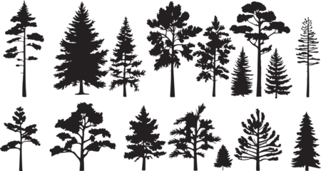 Foto op Plexiglas collection of pine tree silhouettes © Dani