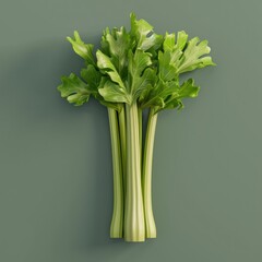 A fresh bunch of celery with vibrant green leaves on a grey background.