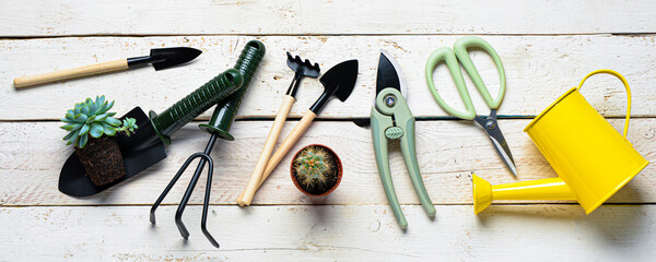 Set of gardening tools on white wooden background