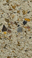 Naklejka premium texture of stone