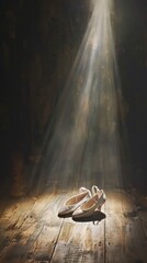 A pair of ballet shoes on a wooden stage floor spotlight shining - obrazy, fototapety, plakaty