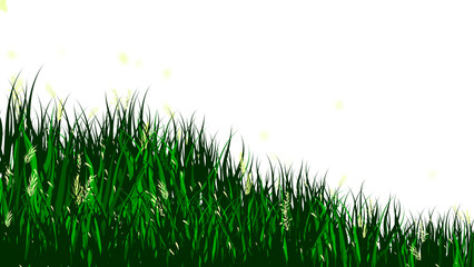 spring and summer grass meadow border, green field isolated on transparent background - obrazy, fototapety, plakaty