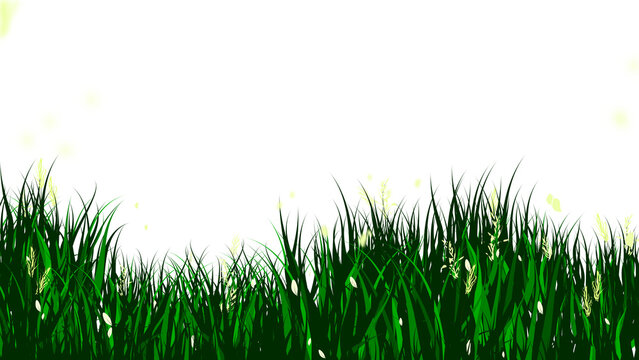Summer field border, Green grass cartoon meadow
