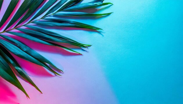 creative layout made of tropical leaves and shadows in vibrant gradient holographic neon colors flat lay minimal surreal summer background with copy space border arrangement