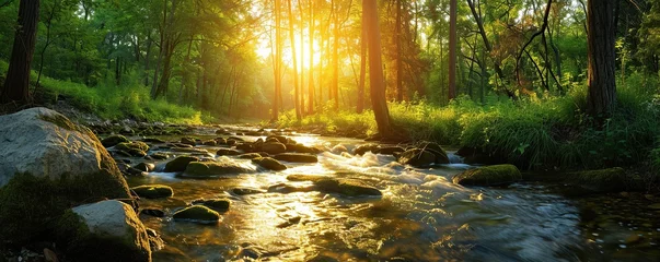 Tuinposter cool forest views with a clean river © BISMILAH