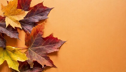 Naklejka na ściany i meble autumn orange maple leaves on orange vertical background with copy space
