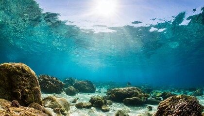 the under water scenery background