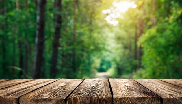 image of front rustic wood boards and background of forest
