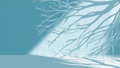 minimalistic abstract gentle light blue background for product presentation with light and intricate shadow from tree branches on wall