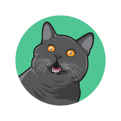 cute illustration of a black cat animal