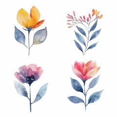 set of flowers hand drawn with watercolors