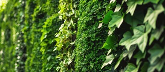 Obraz premium Green house walls full of plants, natural and environmentally friendly concept