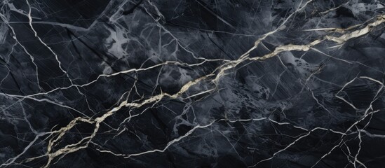 An intricate black marble is shown in detail with a luxurious gold line running through it