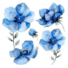 set of flowers hand drawn with watercolors
