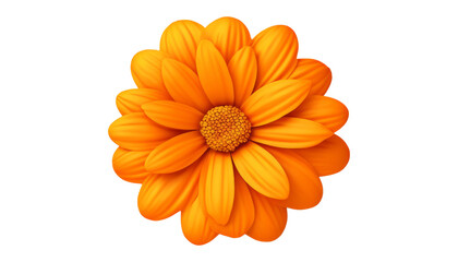 orange flower isolated on transparent background cutout