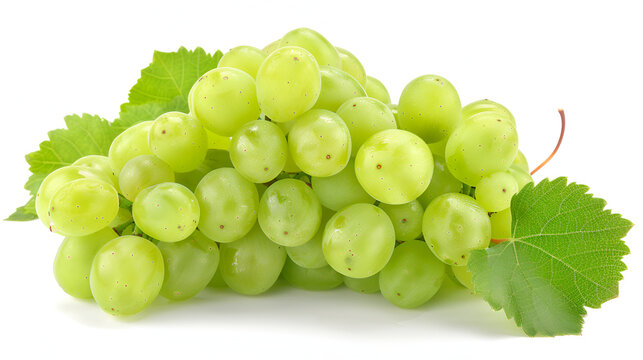 Branch of grapes isolated on white background 