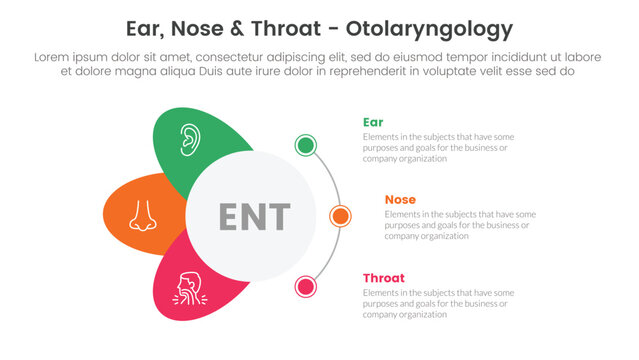 ent health treatment disease infographic 3 point stage template with circle and wings shape dot connection for slide presentation