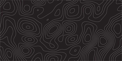 Black and white abstract background Abstracts Topographic map and white lines, contour background, Vector contour topographic map background. Topography Animation Motion. Slowly moving colorful lines. - obrazy, fototapety, plakaty
