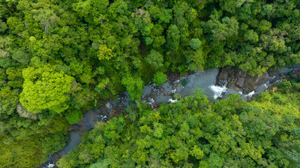 Fototapeta na wymiar Aerial view of mixed forest, deciduous trees, greenery and waterfalls flowing through the forest. The rich natural ecosystem of rainforest concept is all about conservation and natural reforestation.