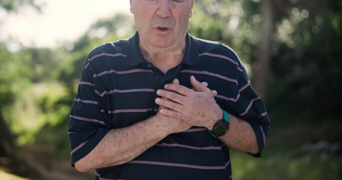 Hands, chest pain and heart attack with old man outdoor, breathing trouble and lungs with angina and disease. Heartburn, asthma and hypertension, medical emergency in park and cardiovascular health