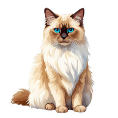 Fototapeta premium Birman cat sitting, watercolor painting, vector illustration, cat breed, cute animal, domestic pet, furry cat, white, for ad promo, journal, scrapbook, cutout on white background