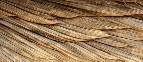 A detailed view of a traditional straw roof highlighted with the presence of a bird's wing