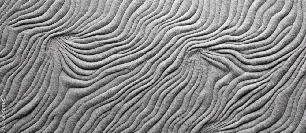 Poster capture the intricate details of a black and white pattern in a close-up photograph