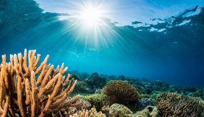 Fototapeta na wymiar vibrant underwater seascape with sun rays and colorful coral marine life ecosystem in panoramic view ideal for nature backgrounds