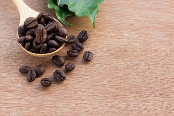 Close up coffee beans in wood spoon and fresh green leaf