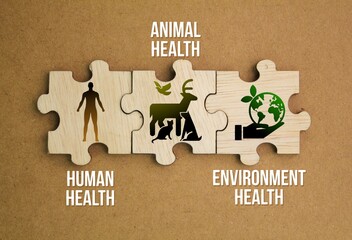 wooden puzzle with the words and icons of human health, animal health and environmental health. the...