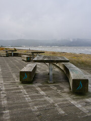 Picnic Table Beachside Petone