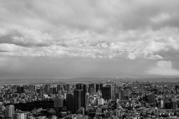高層ビルから東京都内のビル群をモノクロームで撮影