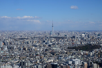 東京都内の高層ビルの展望台から東京市街地を撮影。東京スカイツツリーも遠方に見える。