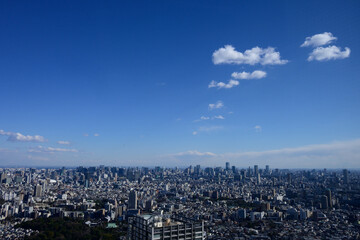 Fototapeta na wymiar 晴れた日に高層ビルの展望室から東京都内を撮影。