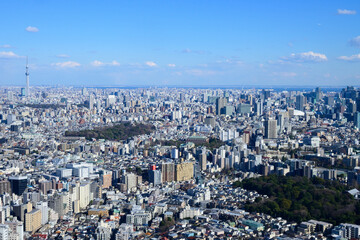 晴れた日に高層ビルの展望室から東京都内を撮影。