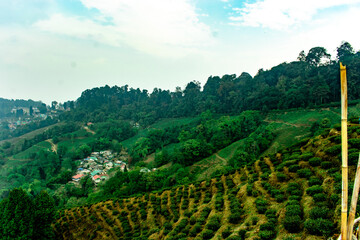 landscape with hills