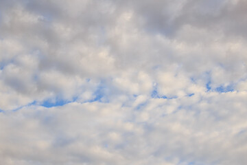 Rainclouds or Nimbus in rainy season