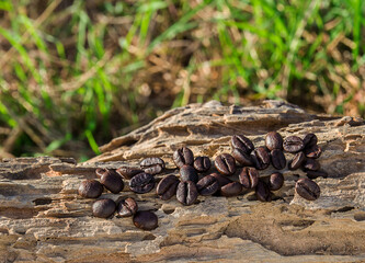 Coffee beans on a dry timber
