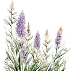 Obraz premium Liatris vertical border. Watercolor botanical banner for the design of invitations, cards, congratulations, announcements, sales, stationery, sharp outline.