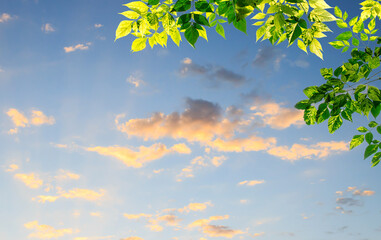 Image of sunset with the blue sky