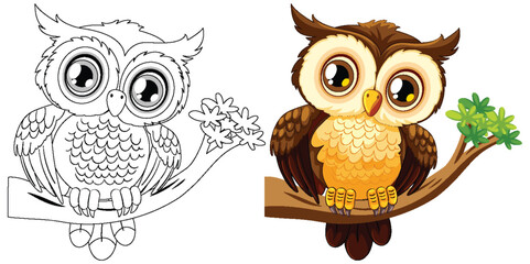 Black and white and colored owl illustrations on branches