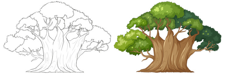 "Vector illustration of a tree, from outline to colored."