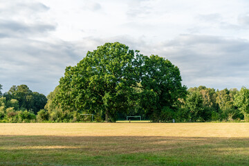 View of a public park during spring in England