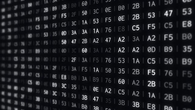Hexadecimal Data