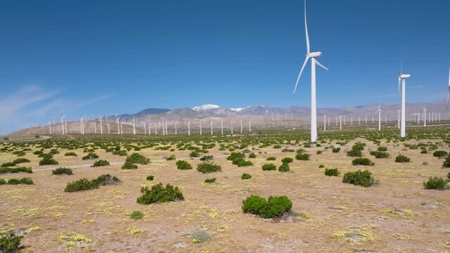 Slowly flying forwards over yellow windflowers in the desert surrounded by wind turbines with snow capped mountains in the distance.