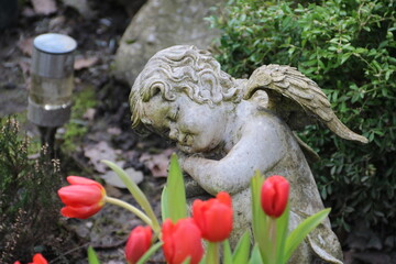 Friedhofsengel auf einem Grab mit Tulpen in Rot im Frühling - 765391048
