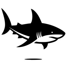 Fototapeta premium Shark