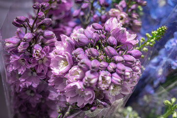 blue and purple lilac flowers