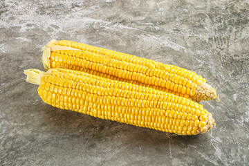 Sweet yellow raw corn cob